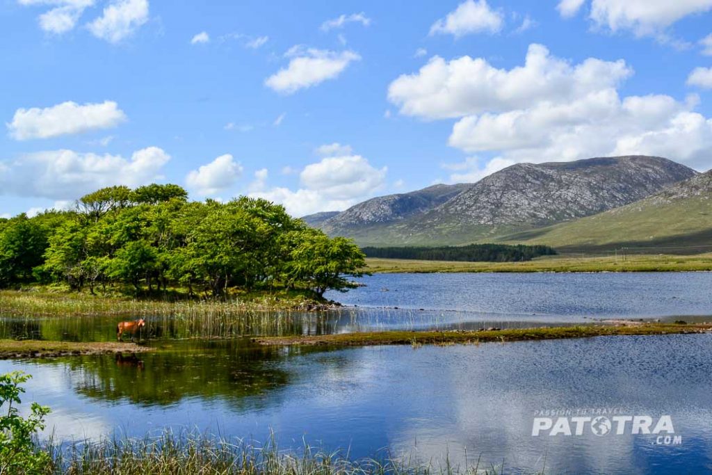 Connemara