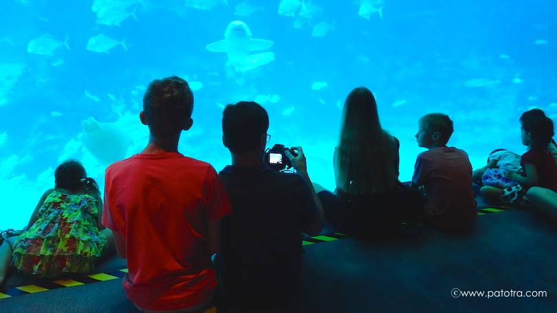 Aquarium Singapore