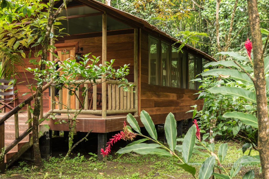 Tortuguero Nationalpark Das Lied des Dschungels von Costa Rica