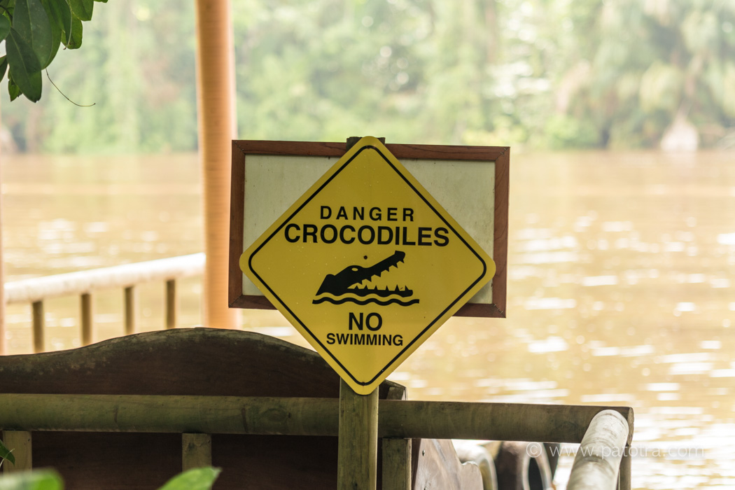 Warnschild: Danger Crocodiles - No Swimming