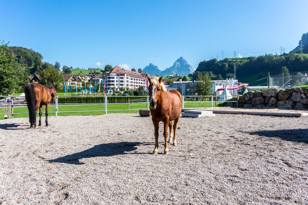Pferde Swiss Holiday PArk