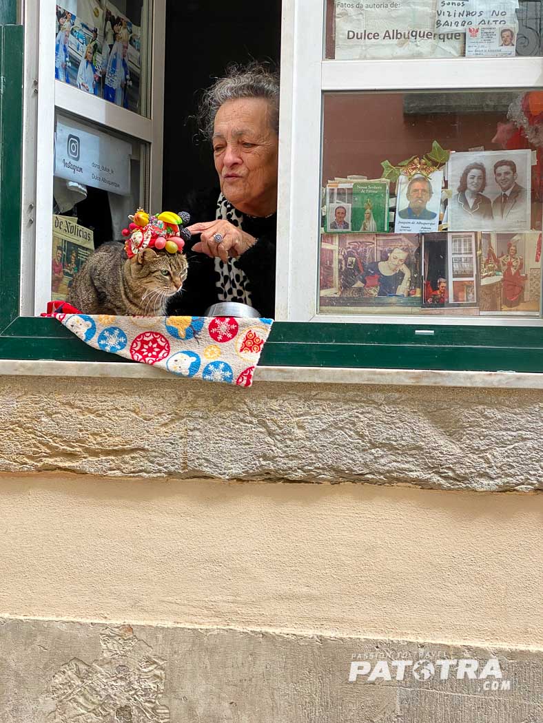 Lissabon Katze