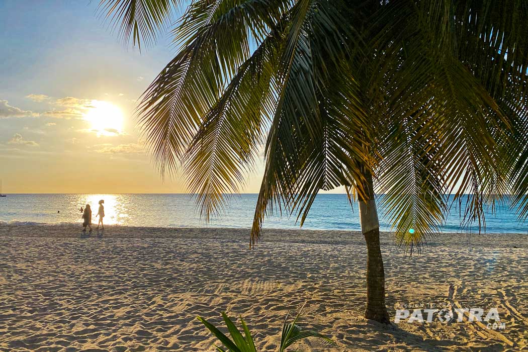 Eine Palme und das Meer auf Jamaika am Negrill Beach