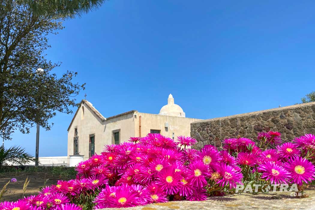 Pinke Blüten von dem Kirchlein des Santuario  della Madonna della Catena