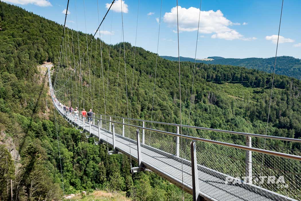 Die imposante Hängebrücke im Hochschwarzwald