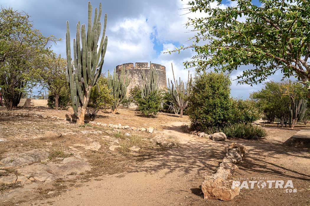 Fussweg zum Turm von Fort Beekenburg gesäumt von Büsche, Bäumen und Kakteen