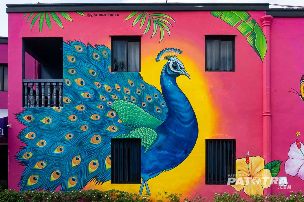 Hausfassade bemalt mit einem Pfau vor einem Sonnenaufgang