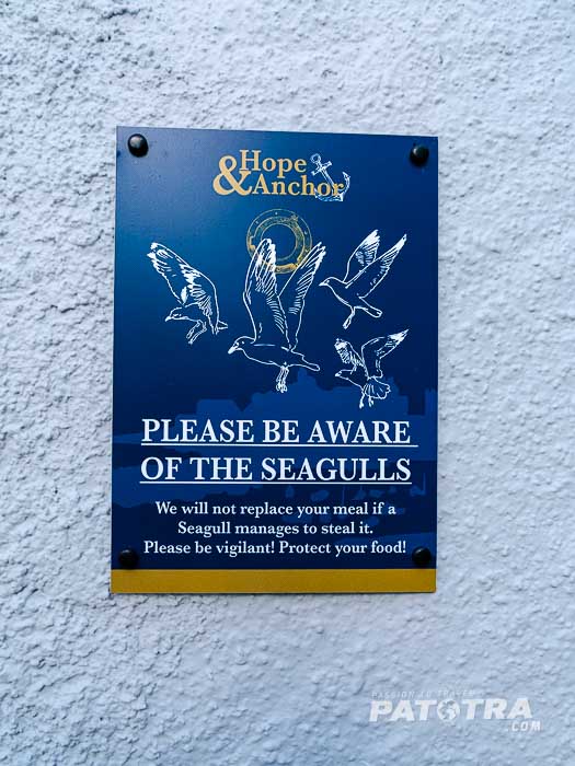 Schild: Achtung vor den Möwen